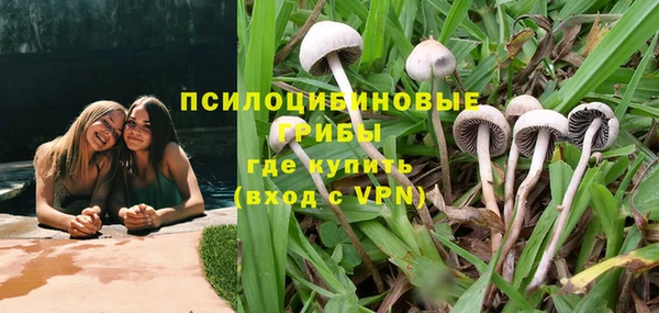 трава Верхнеуральск