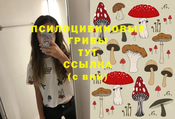 spice Володарск