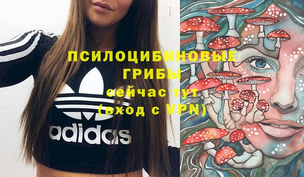 прущая мука Верхний Тагил