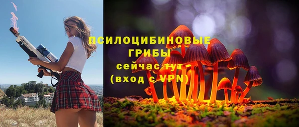 a pvp Верея
