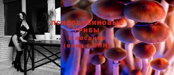прущая мука Верхний Тагил
