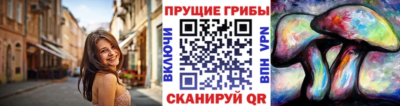 купить   Вытегра  Галлюциногенные грибы GOLDEN TEACHER 
